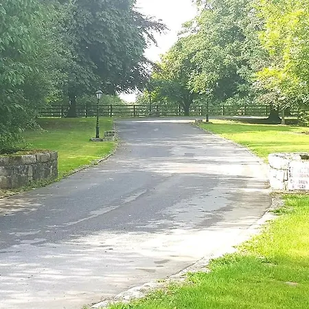 Grove At The Tullow