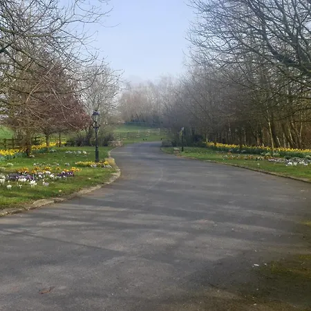 Ferienhaus Grove At The Tullow