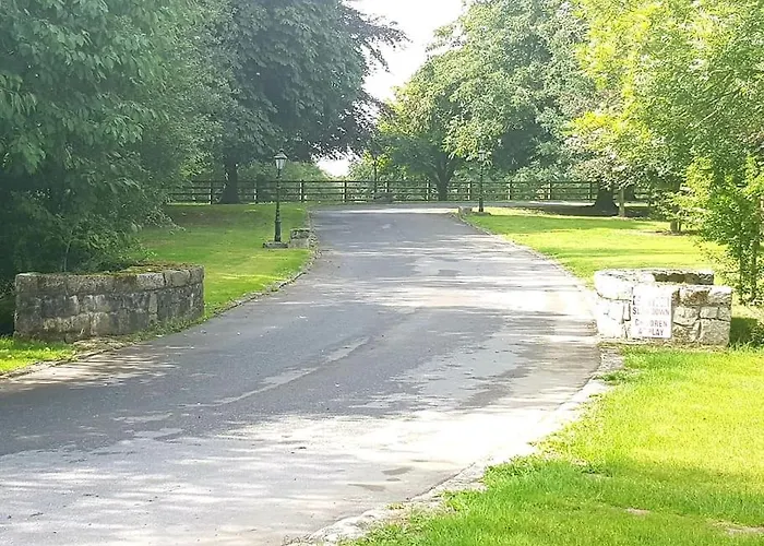 Grove At The Таллоу